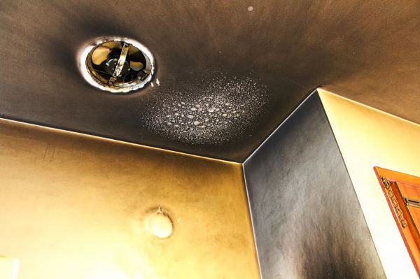 Cost of Smoke Damage Removal in Indianapolis